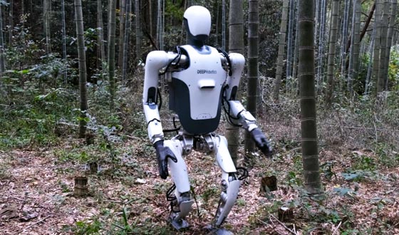 DR01